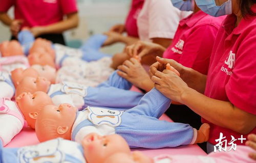 一次性補助15萬，中山大力扶持家政服務(wù)培訓基地建設(shè)